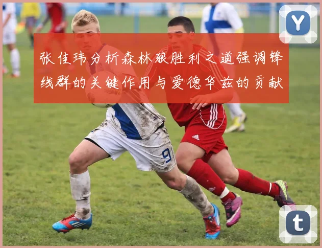 张佳玮分析森林狼胜利之道强调锋线群的关键作用与爱德华兹的贡献